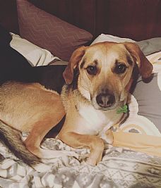 Kewaters2 profile photo