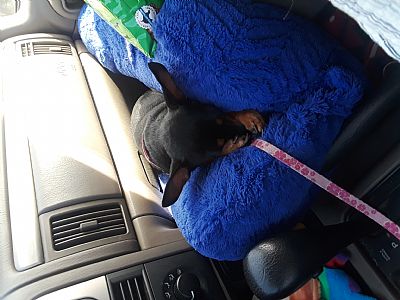 Rondac profile photo