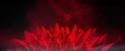 yeseniaveras profile photo