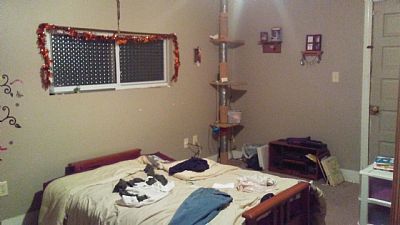 LoisAnthony profile photo