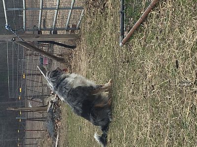 dlnicholson profile photo