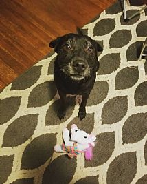 Bspivey041 profile photo