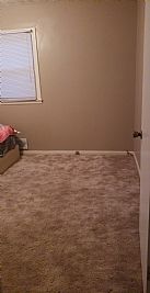 Desiree4bennett profile photo