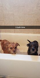 Brandonjones profile photo