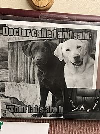 BeckyBea profile photo