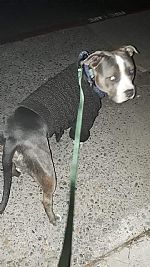 rebecca.johnson profile photo