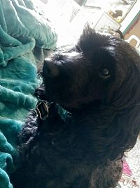 samrae99 profile photo