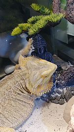 samrae99 profile photo