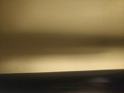 dtriplett profile photo