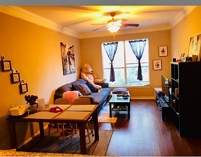 Rachelzj profile photo