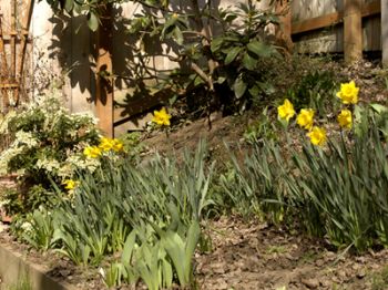 Bellevue1 profile photo