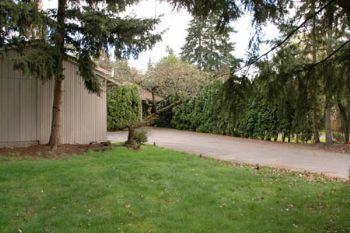 Bellevue1 profile photo