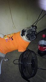 EIzzoSr profile photo