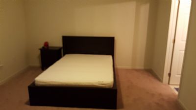 Ninjalilly profile photo