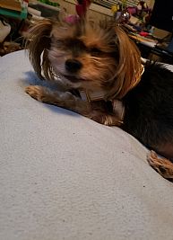 trink323 profile photo