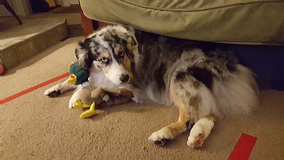 MTkayakergirl profile photo