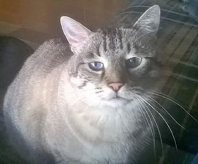 Summer87312 profile photo