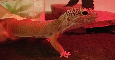 Summer87312 profile photo