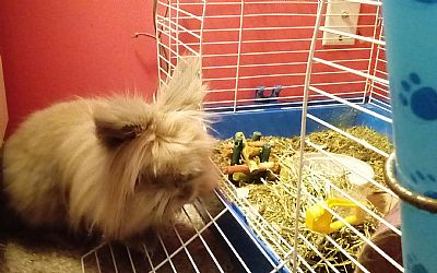 Summer87312 profile photo