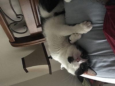 Michelecorum profile photo