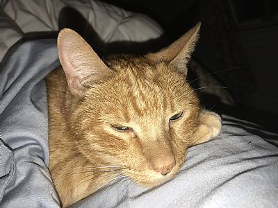 Michelecorum profile photo