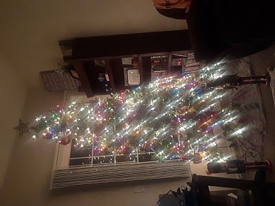 Tcalinew profile photo