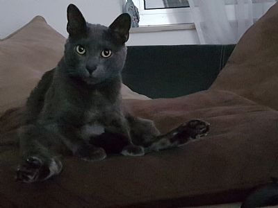 A_Tellez profile photo