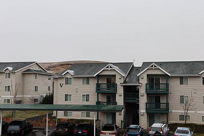 AlexNG profile photo