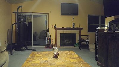 gabyv1017 profile photo