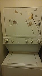 gabyv1017 profile photo