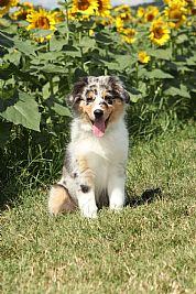 e_serge profile photo