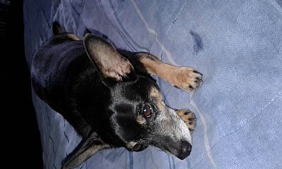 Heather1980 profile photo