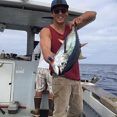 surfsnowskate profile photo