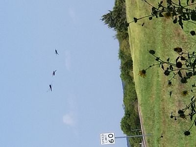 HawkSlayer profile photo