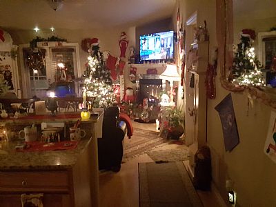 CyndeB profile photo