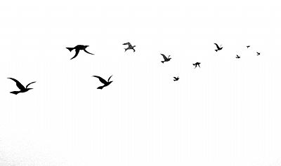 clarrosa profile photo