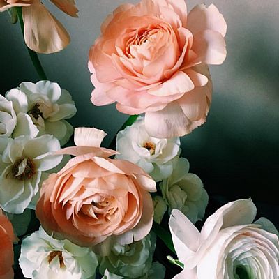 Kylie33 profile photo