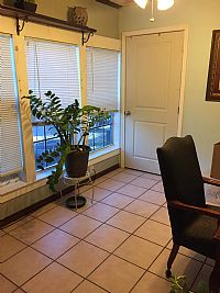 roommate4home profile photo