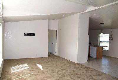 tansylayne profile photo