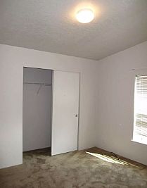 tansylayne profile photo