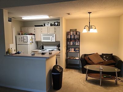 aaron.omeara profile photo