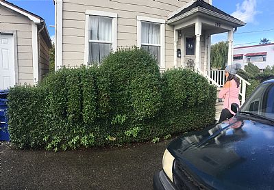 cruzer98 profile photo