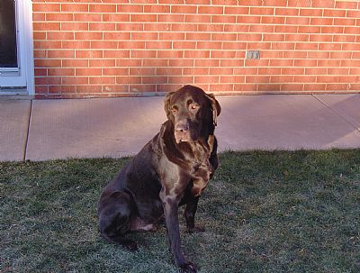 erihans profile photo