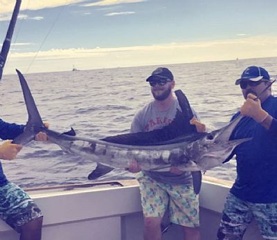 t_sty12 profile photo