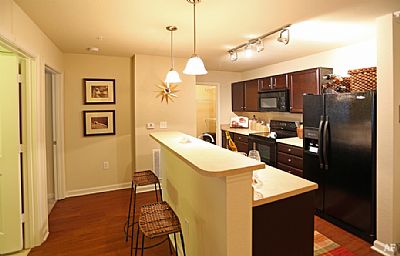 lillykate profile photo