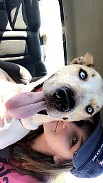 Lexifaietta profile photo