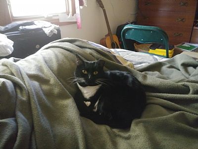 GaryLewis profile photo