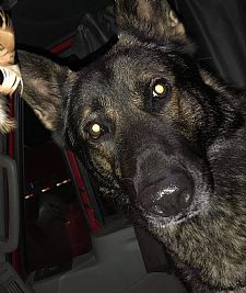 Killcheskey profile photo