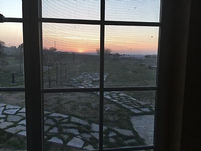 julie92311 profile photo