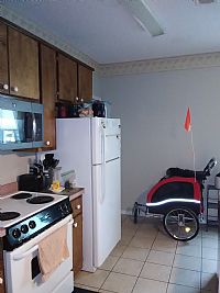 gardenlove profile photo